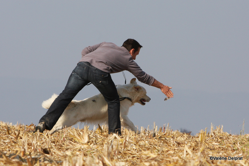 Field Erstein 09 (123).JPG